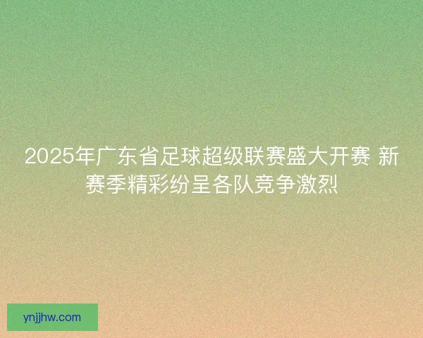 2025年广东省足球超级联赛盛大开赛 新赛季精彩纷呈各队竞争激烈 2025年广东省足球超级联赛盛大开赛 新赛季精彩纷呈各队竞争激烈