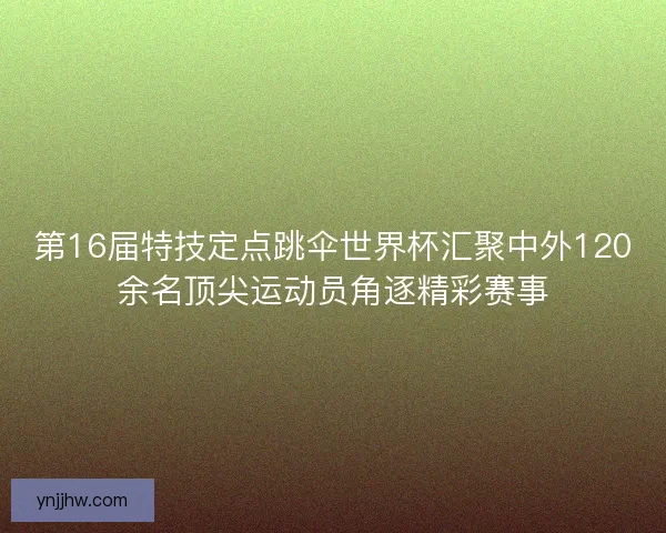 第16届特技定点跳伞世界杯汇聚中外120余名顶尖运动员角逐精彩赛事