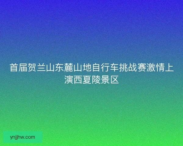 首届贺兰山东麓山地自行车挑战赛激情上演西夏陵景区 首届贺兰山东麓山地自行车挑战赛激情上演西夏陵景区